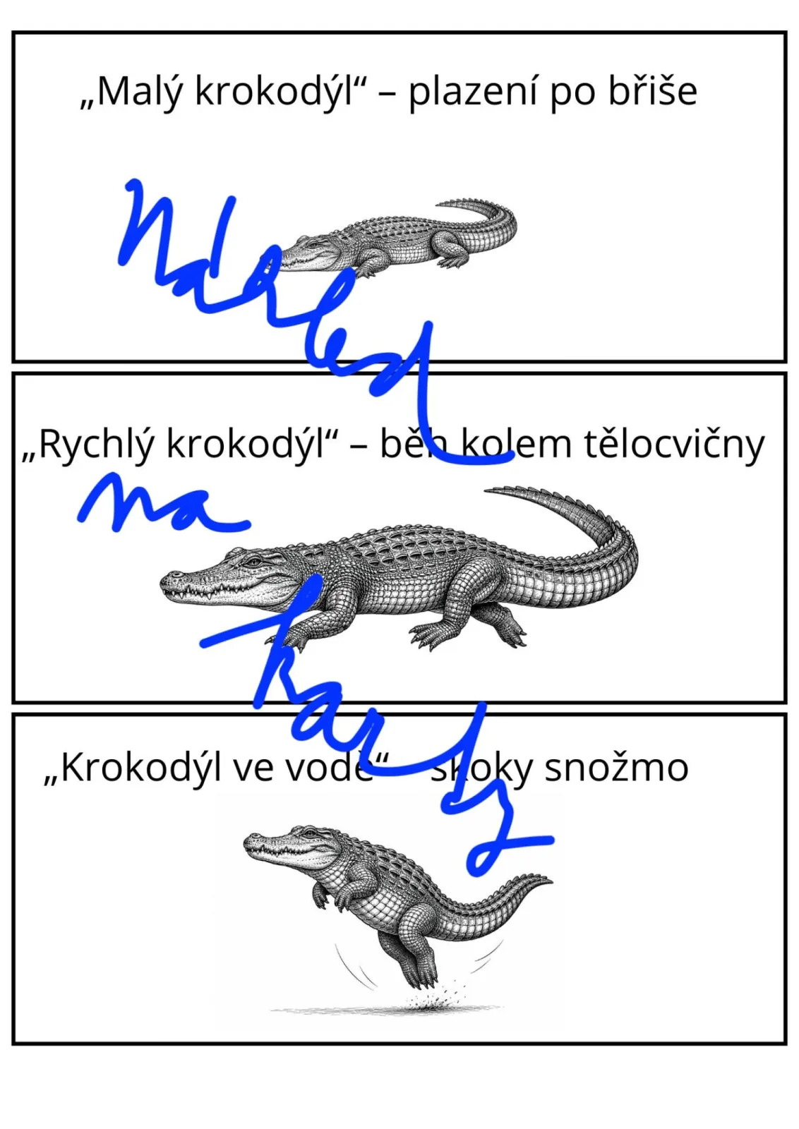 Tělesná výchova - KROKODÝLÍ TĚLOCVIK - vhodné před návštěvou ZOO – náhled 2