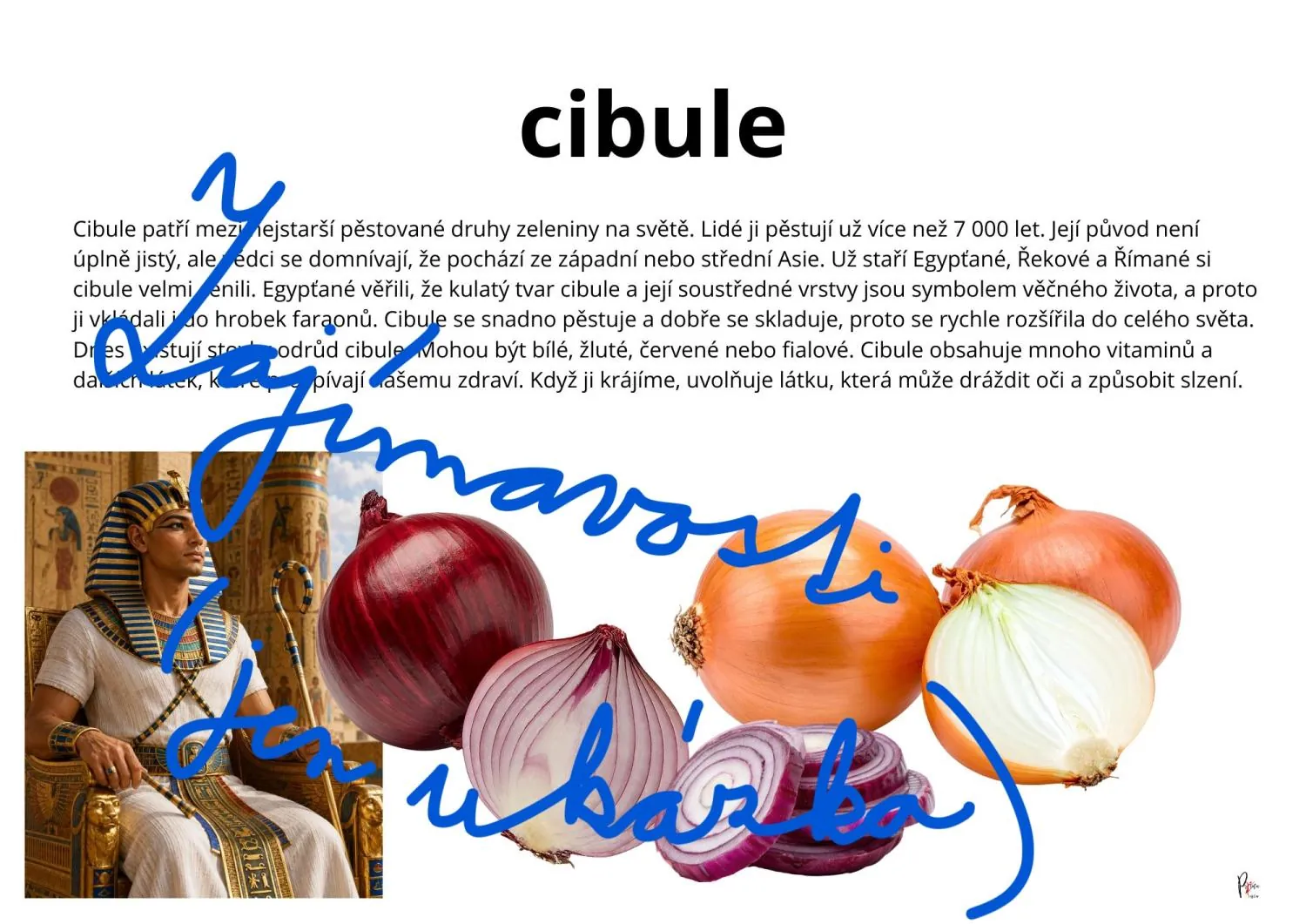 Připravujeme zdravé ovocné a zeleninové saláty – náhled 6