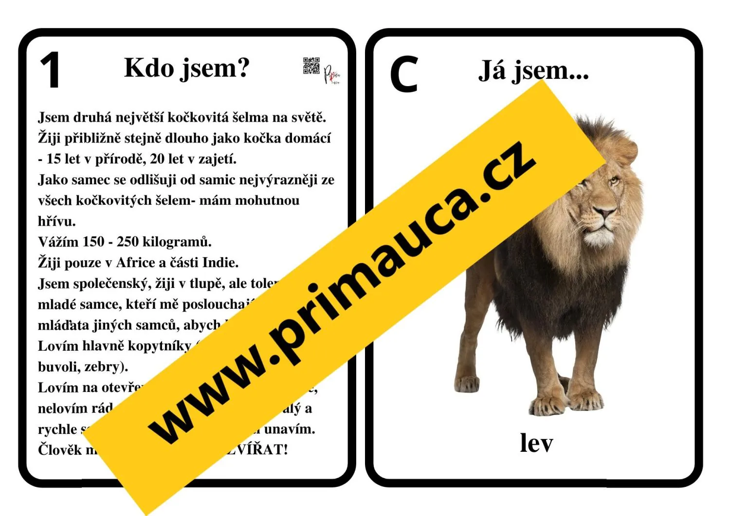 UČÍME SE POZNÁVAT  NEJZNÁMĚJŠÍ ŠELMY  KOČKOVITÉ A PSOVITÉ – náhled 3
