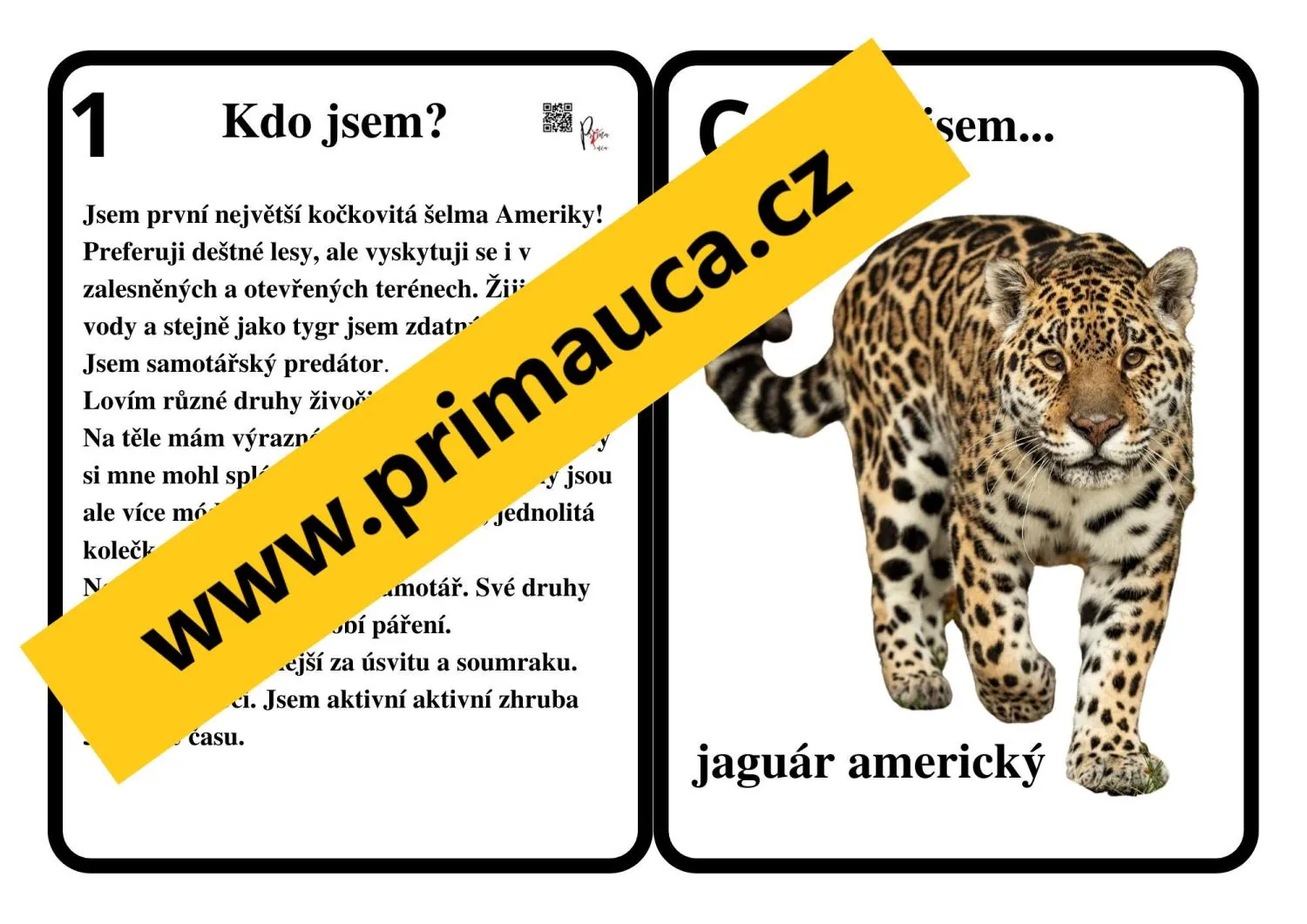 UČÍME SE POZNÁVAT  NEJZNÁMĚJŠÍ ŠELMY  KOČKOVITÉ A PSOVITÉ – náhled 5