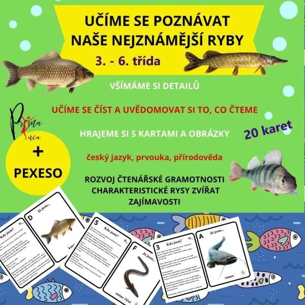 UČÍME SE POZNÁVAT  NAŠE NEJZNÁMĚJŠÍ RYBY - aktivity mimo lavice, pexeso
