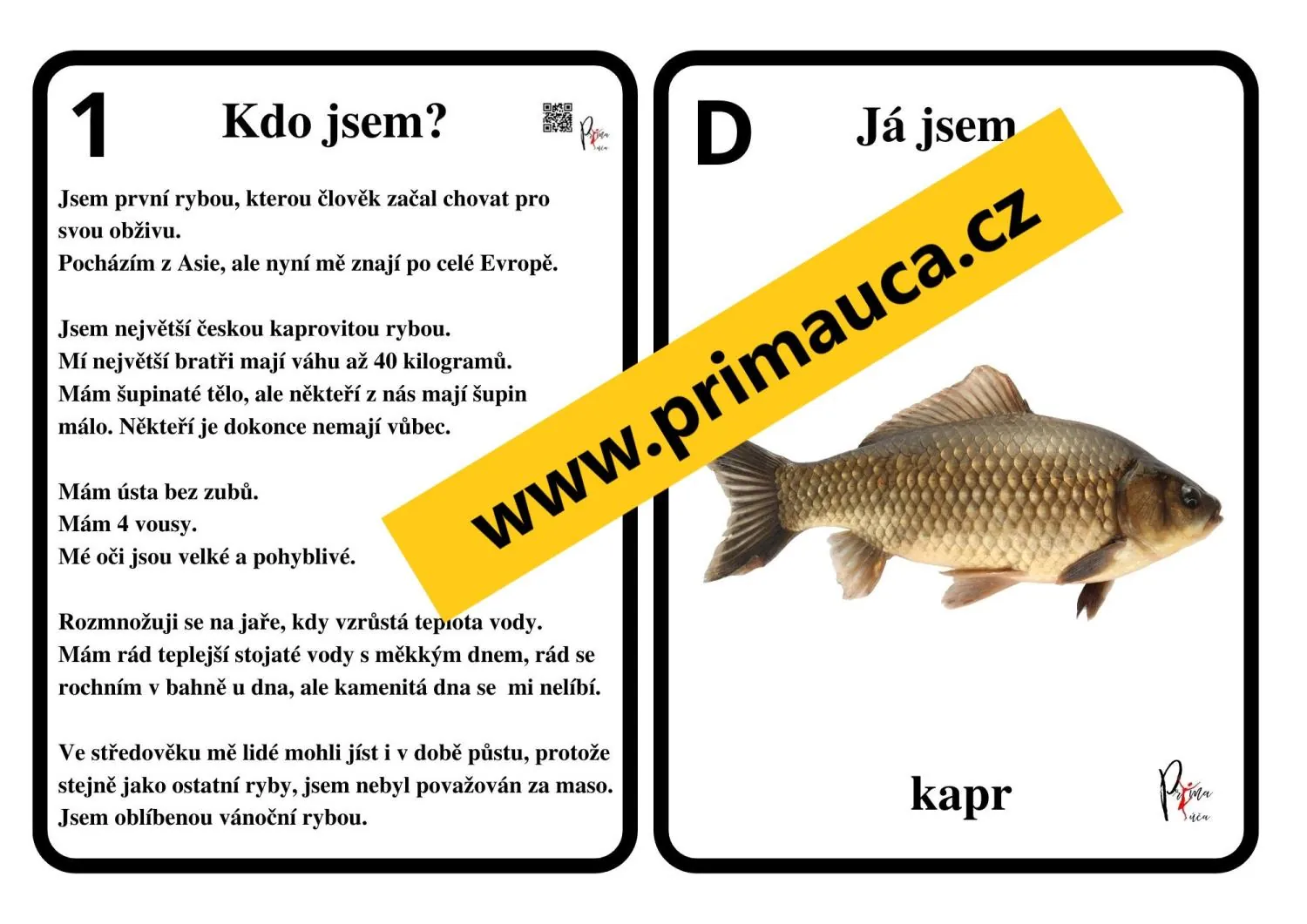 UČÍME SE POZNÁVAT  NAŠE NEJZNÁMĚJŠÍ RYBY - aktivity mimo lavice, pexeso – náhled 2