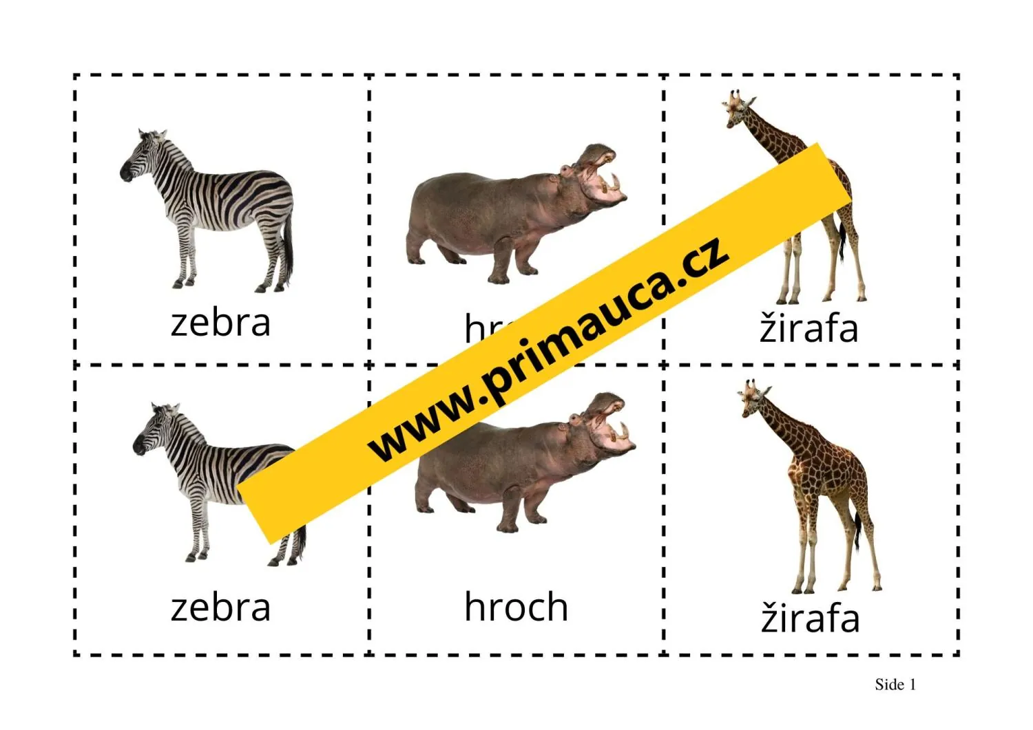 UČÍME SE POZNÁVAT  ZVÍŘATA AFRIKY - Hra na zvířecí detektivy! – náhled 2