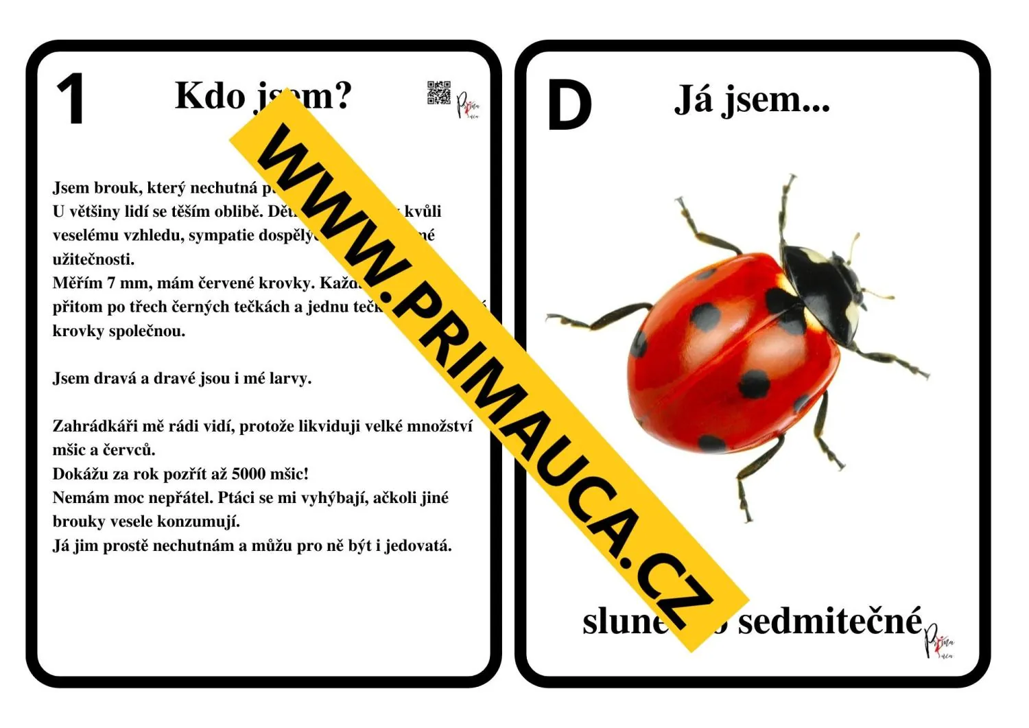 UČÍME SE POZNÁVAT  HMYZ - hra na hmyzí detektivy - aktivita mimo lavice – náhled 3