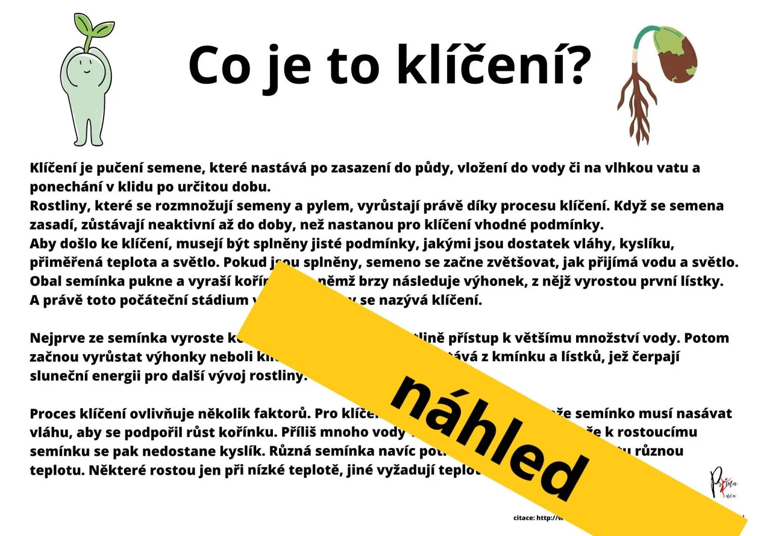 VYSÉVÁME POZORUJEME SÁZÍME - POZOROVÁNÍ - příprava do hodin – náhled 4