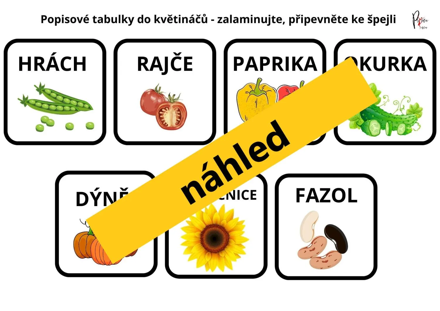 VYSÉVÁME POZORUJEME SÁZÍME - POZOROVÁNÍ - příprava do hodin – náhled 6
