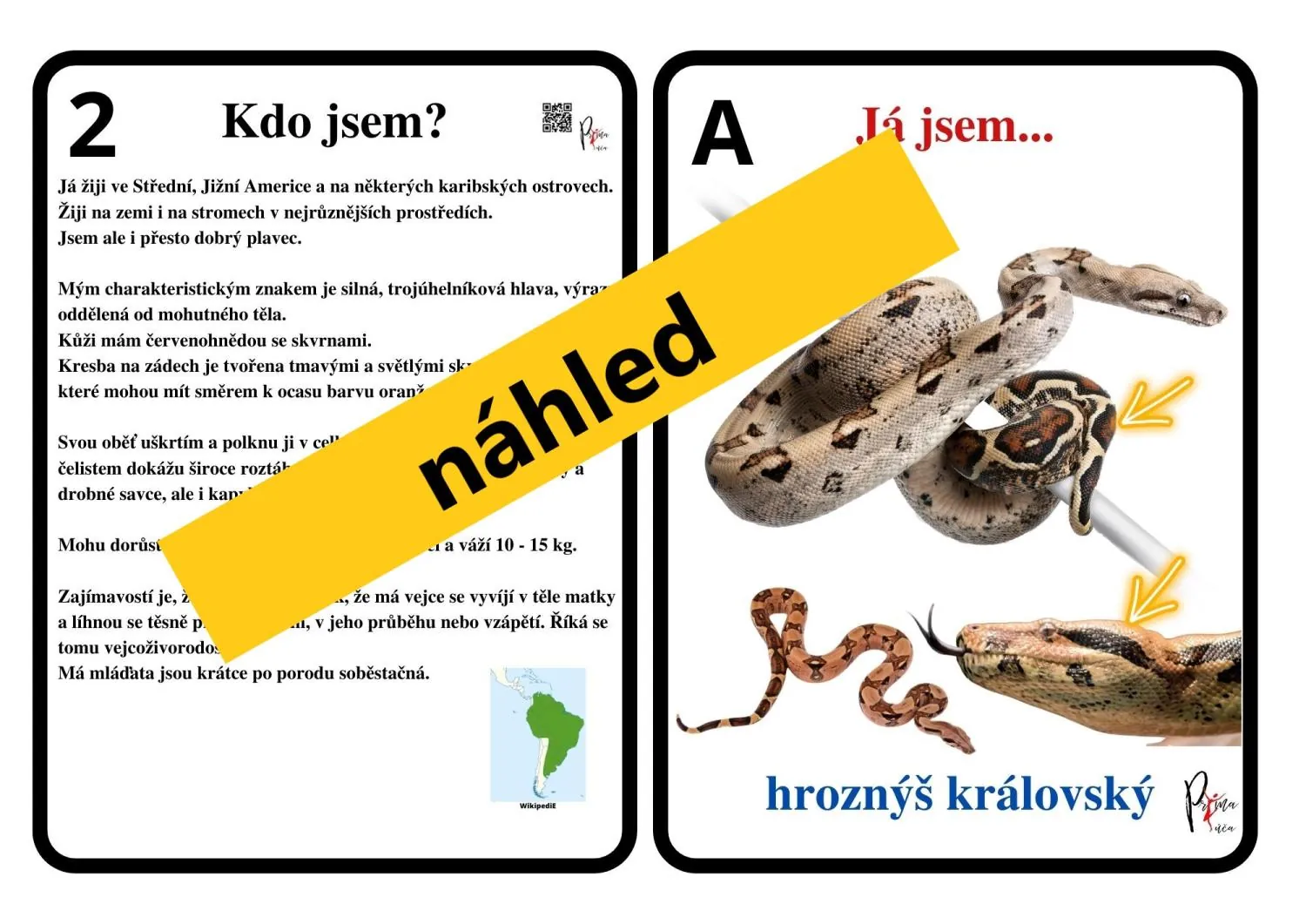 UČÍME SE POZNÁVAT  NEJZNÁMĚJŠÍ HADY - další sada k aktivitě mimo lavice – náhled 2