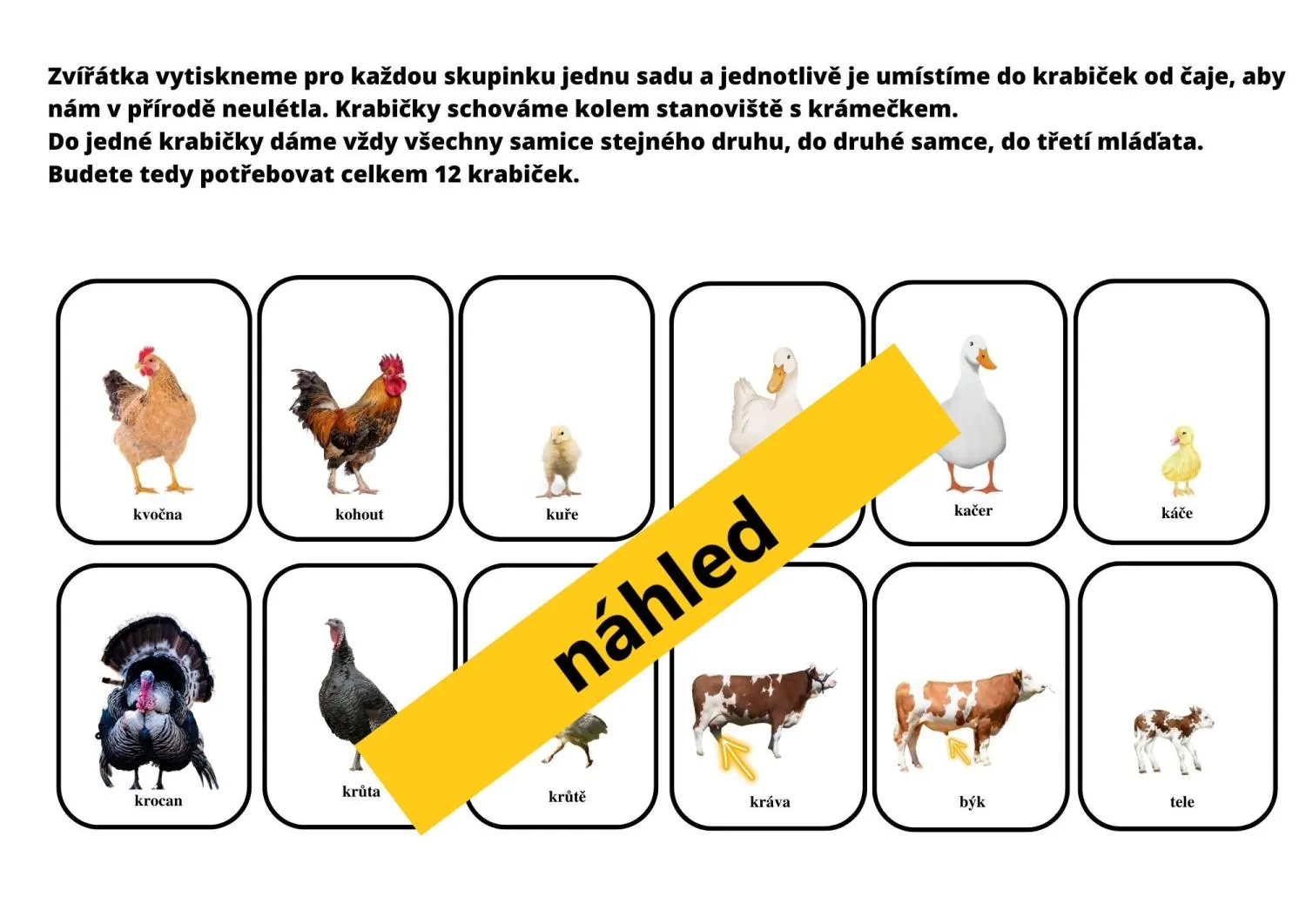PROJEKTOVÝ DEN UČÍME SE VENKU - kompletní příprava na celé dopoledne venku – náhled 6