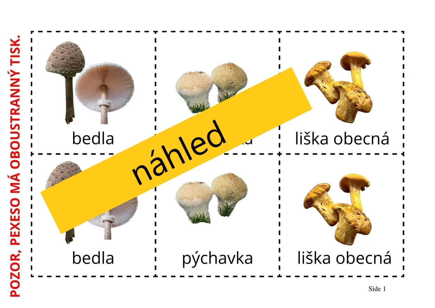 UČÍME SE POZNÁVAT  NAŠE NEJZNÁMĚJŠÍ HOUBY -  aktivity mimo lavice – náhled 2