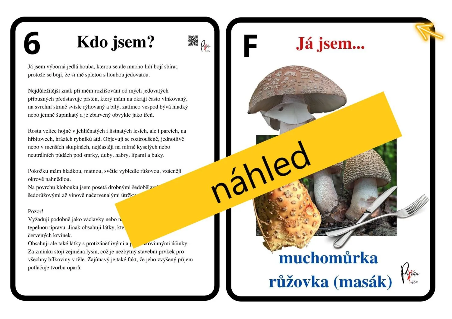 UČÍME SE POZNÁVAT  NAŠE NEJZNÁMĚJŠÍ HOUBY -  aktivity mimo lavice – náhled 3