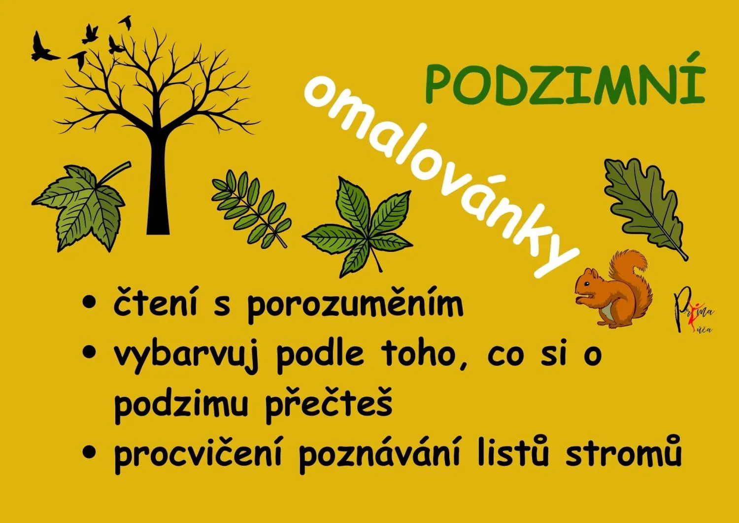 PODZIMNÍ ČTENÍ S POROZUMĚNÍM S OMALOVÁNKY - Přečti si pozorně a vybarvuj! – náhled 8