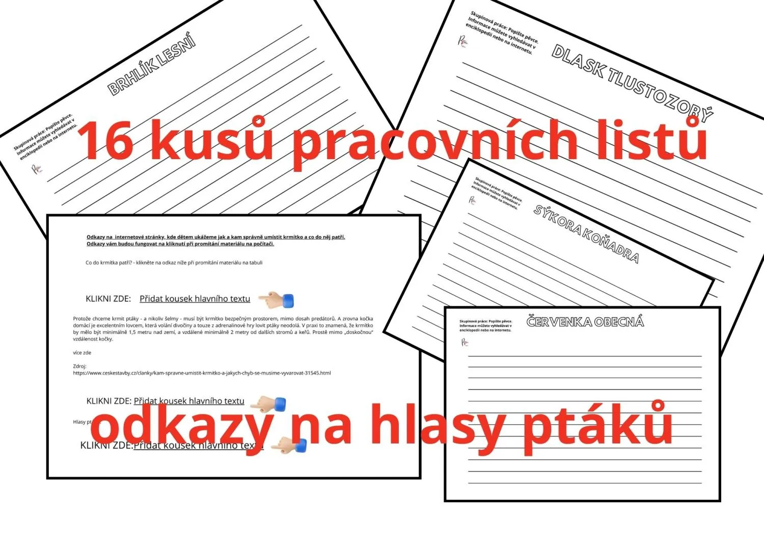 POZNÁVÁNÍ NÁVŠTĚVNÍKŮ NAŠICH KRMÍTEK – náhled 6