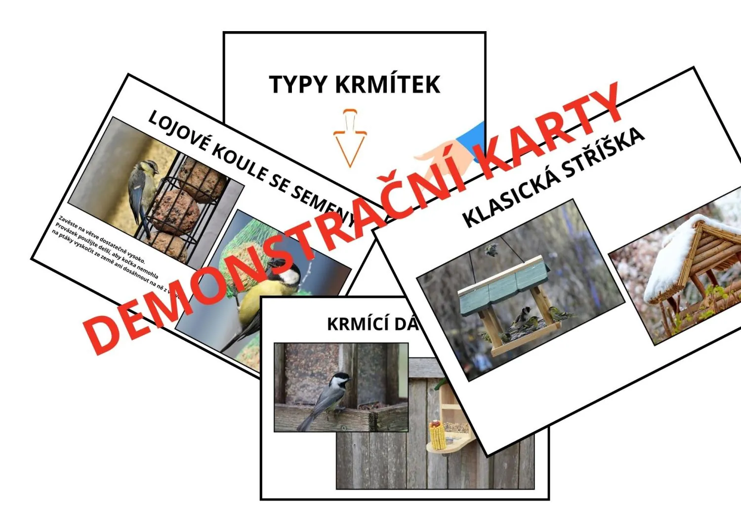 POZNÁVÁNÍ NÁVŠTĚVNÍKŮ NAŠICH KRMÍTEK – náhled 7