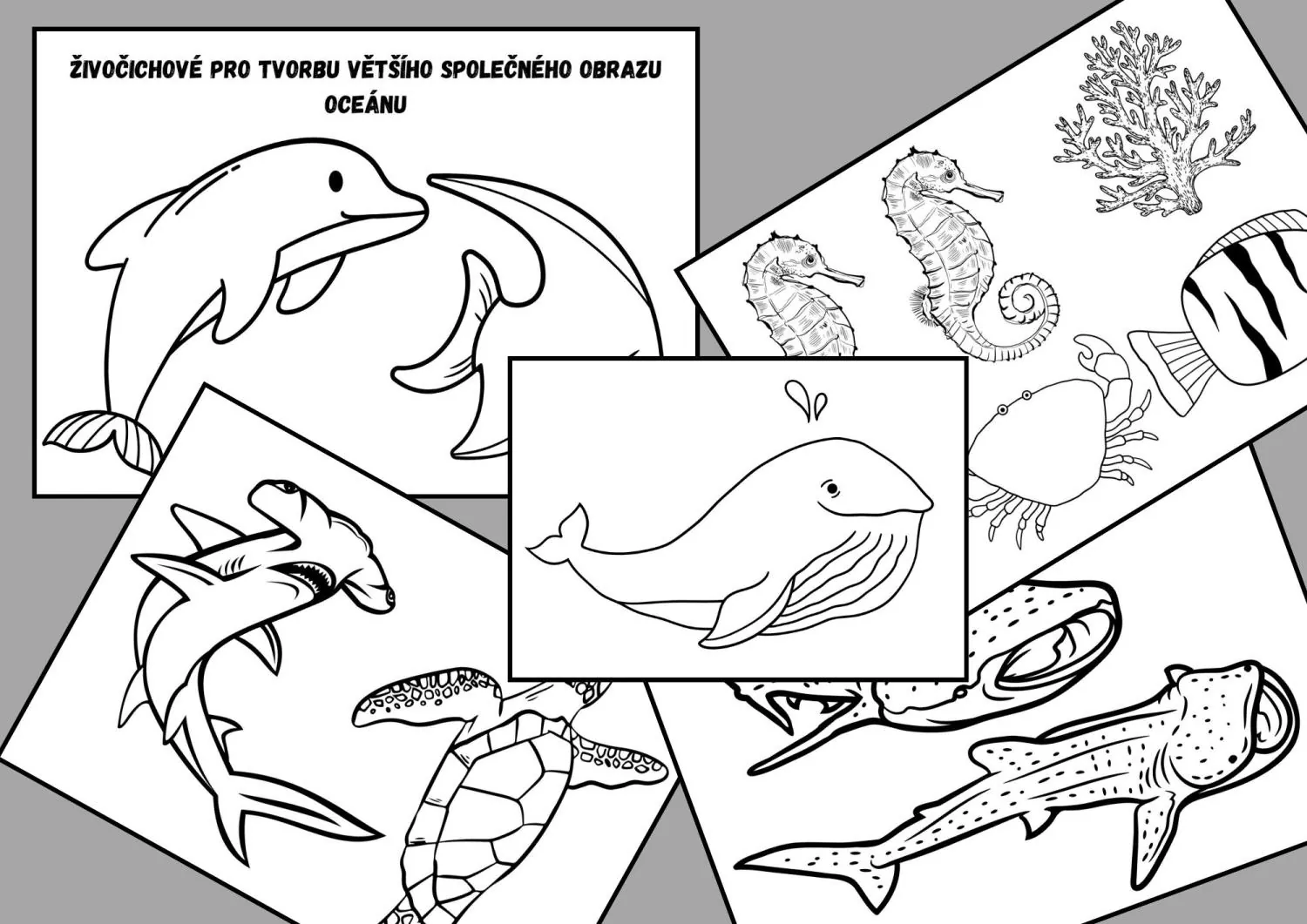 DEN ZEMĚ - PROJEKTOVÝ DEN -  CHRAŇME OCEÁNY – náhled 5