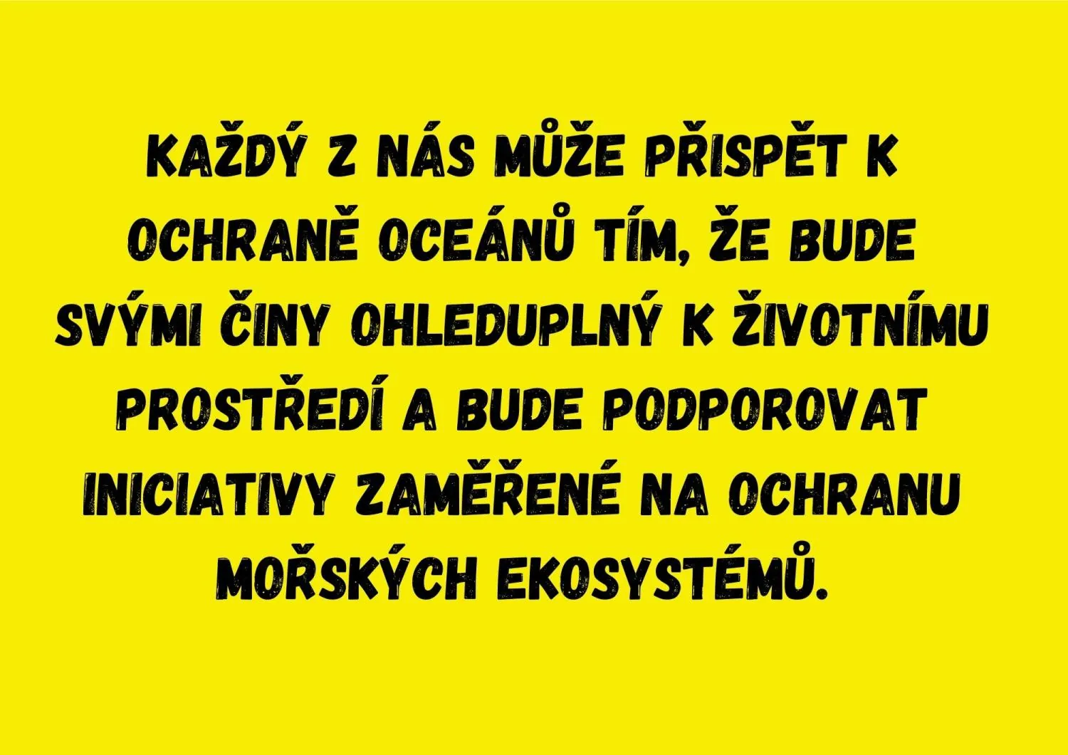 DEN ZEMĚ - PROJEKTOVÝ DEN -  CHRAŇME OCEÁNY – náhled 12