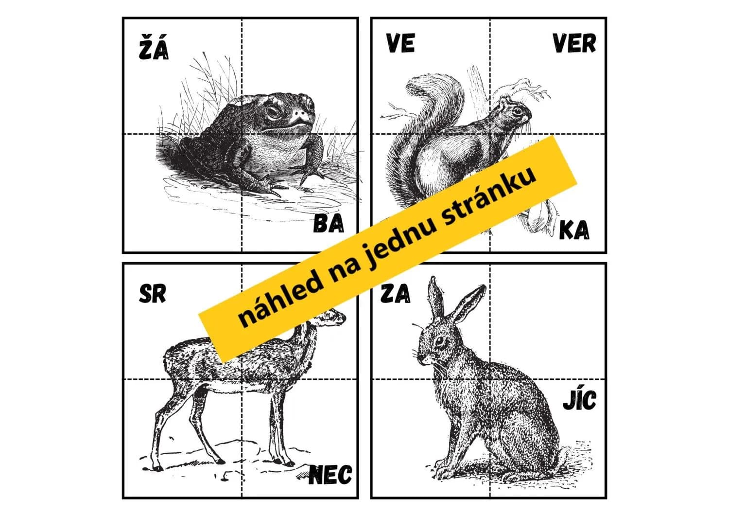 INDIÁNI NA LOVU - (ulov) slož a poznej živočichy, kteří žijí v naší zemi – náhled 4