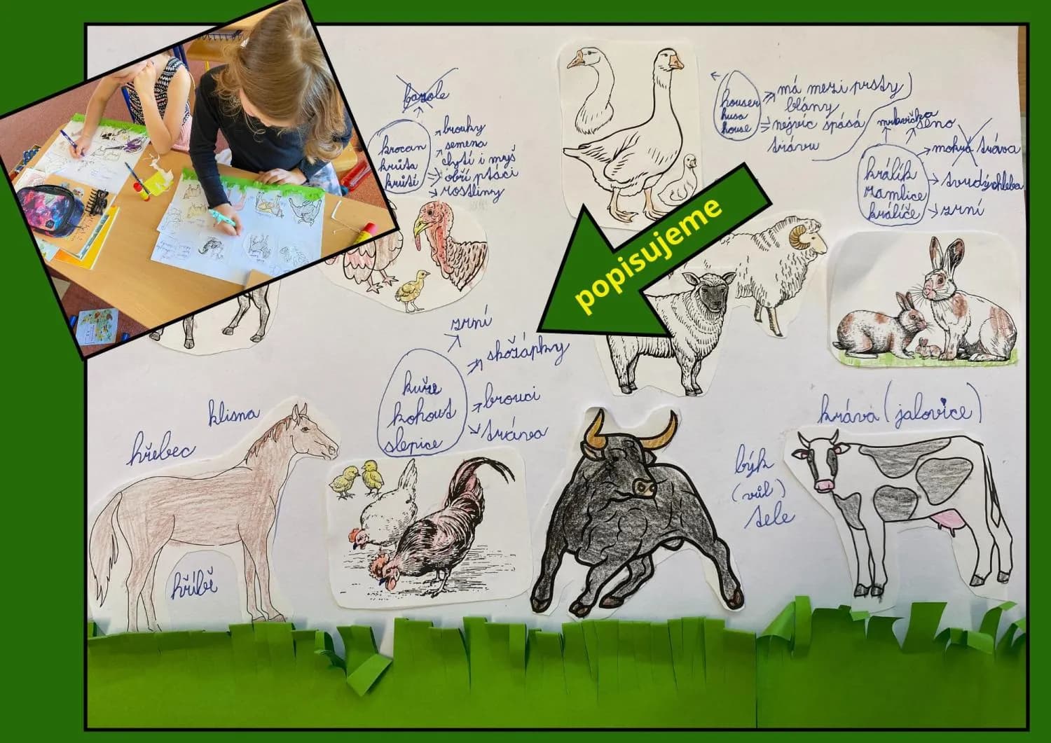 ZVÍŘECÍ RODINY - na farmě - VÝROBA OBRAZU S VÝUKOU – náhled 3
