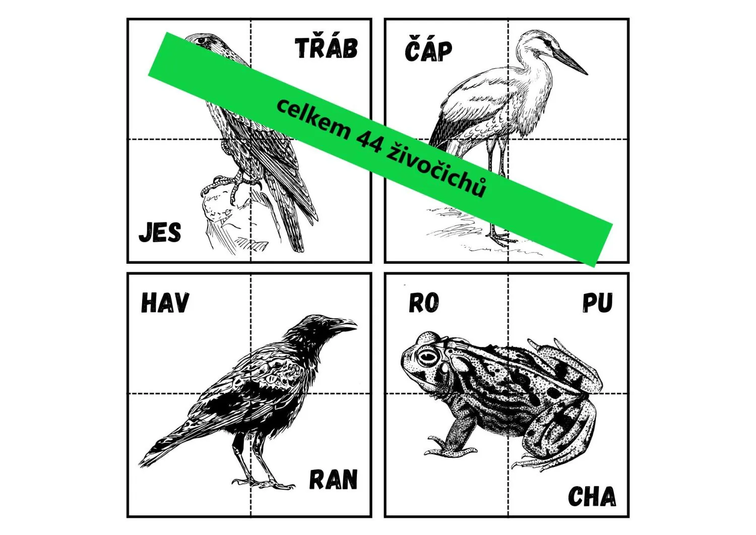 ŽIVOČICHOVÉ ČR - Příprava hodiny s využitím QR kódů – náhled 2