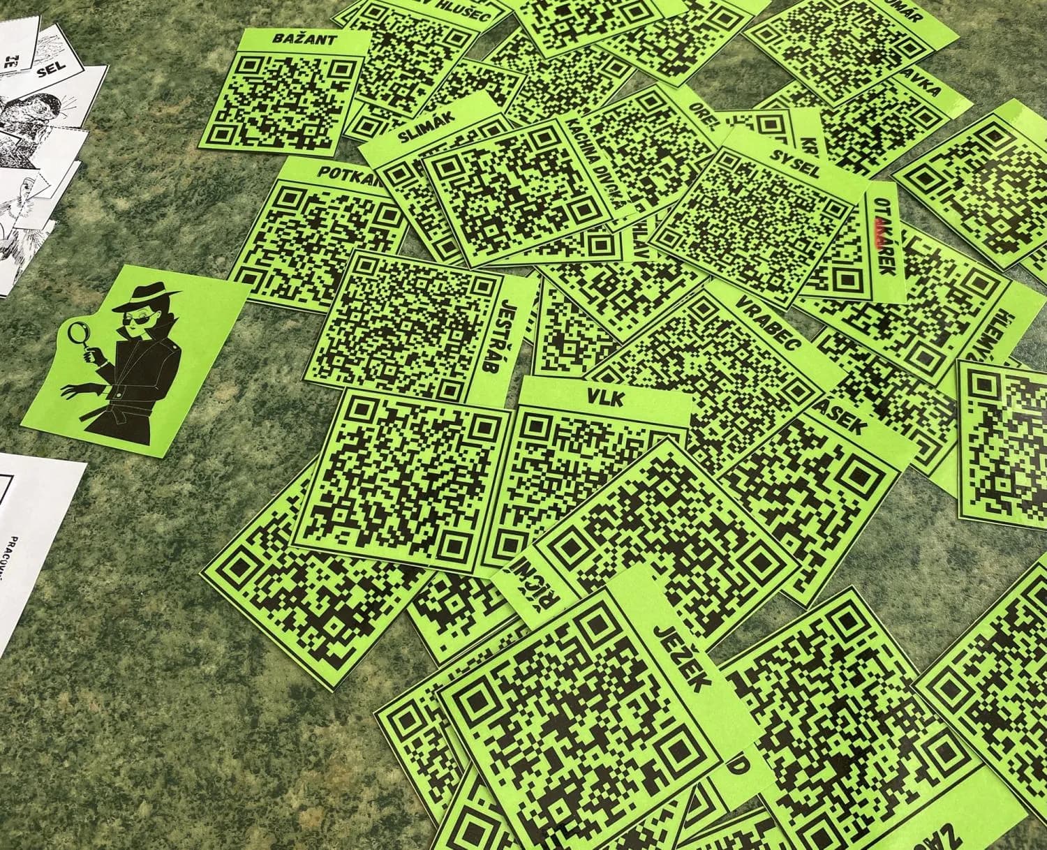 ŽIVOČICHOVÉ ČR - Příprava hodiny s využitím QR kódů – náhled 4