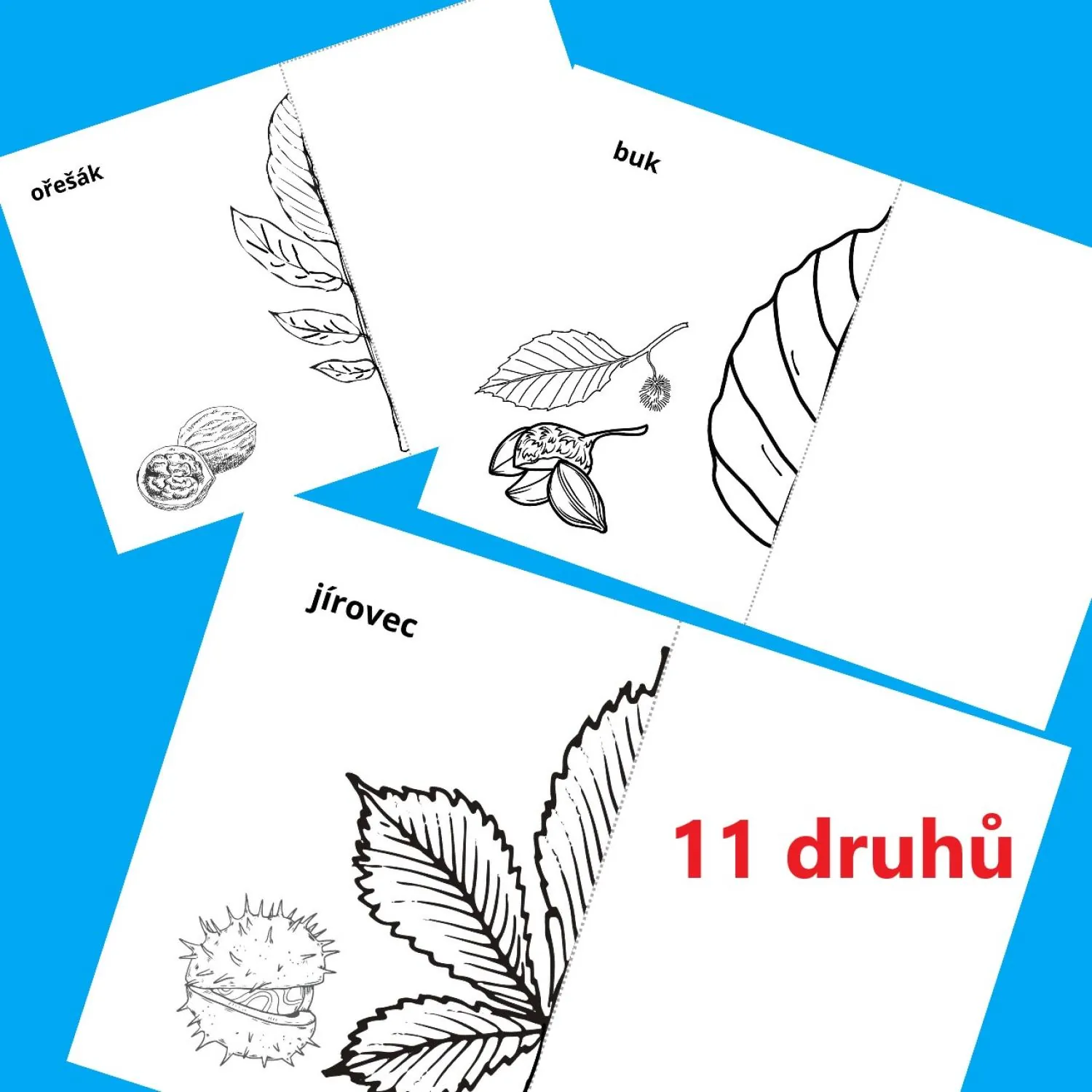 PODZIMNÍ LISTY STROMŮ - obrázky k dokreslení - 10. sada - osová souměrnost – náhled 5