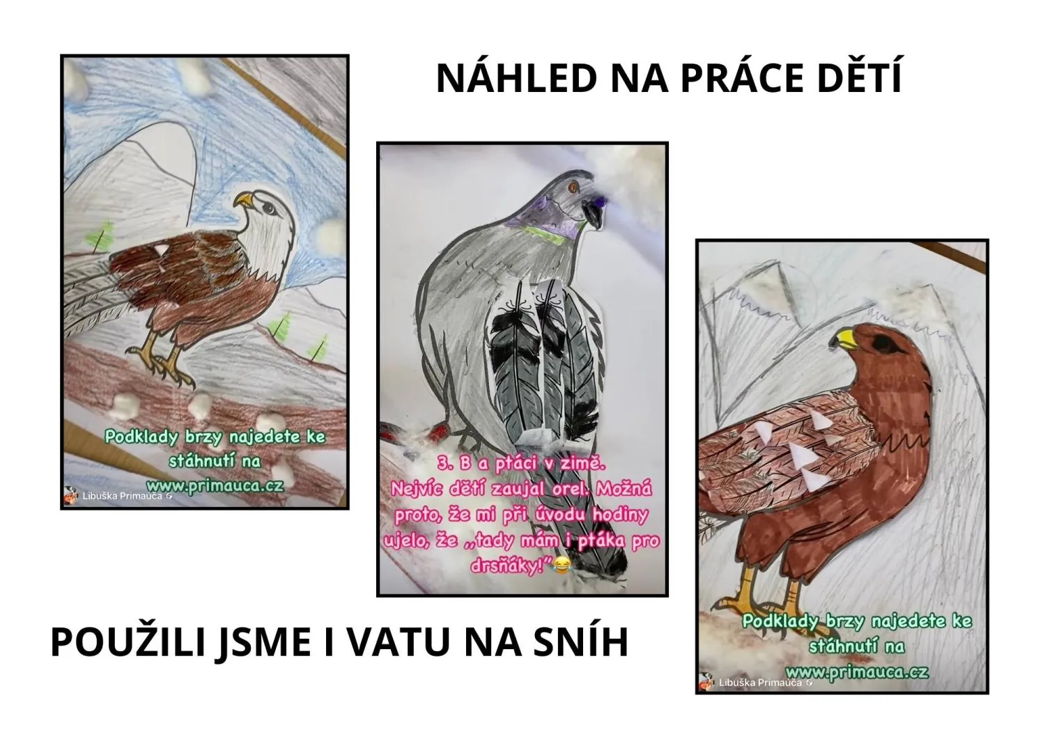 PTÁCI V ZIMĚ - DALŠÍ SADA NA VAŠE PŘÁNÍ - INSPIRACE, ŠABLONY – náhled 2