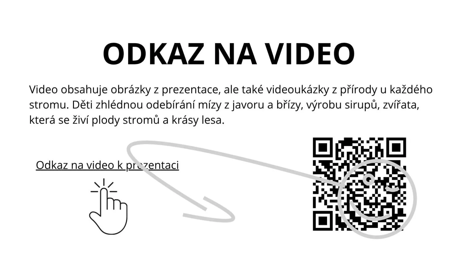 POZNÁVÁNÍ LISTNATÝCH STROMŮ A JEJICH PLODŮ - příprava na 2 - 3h – náhled 8