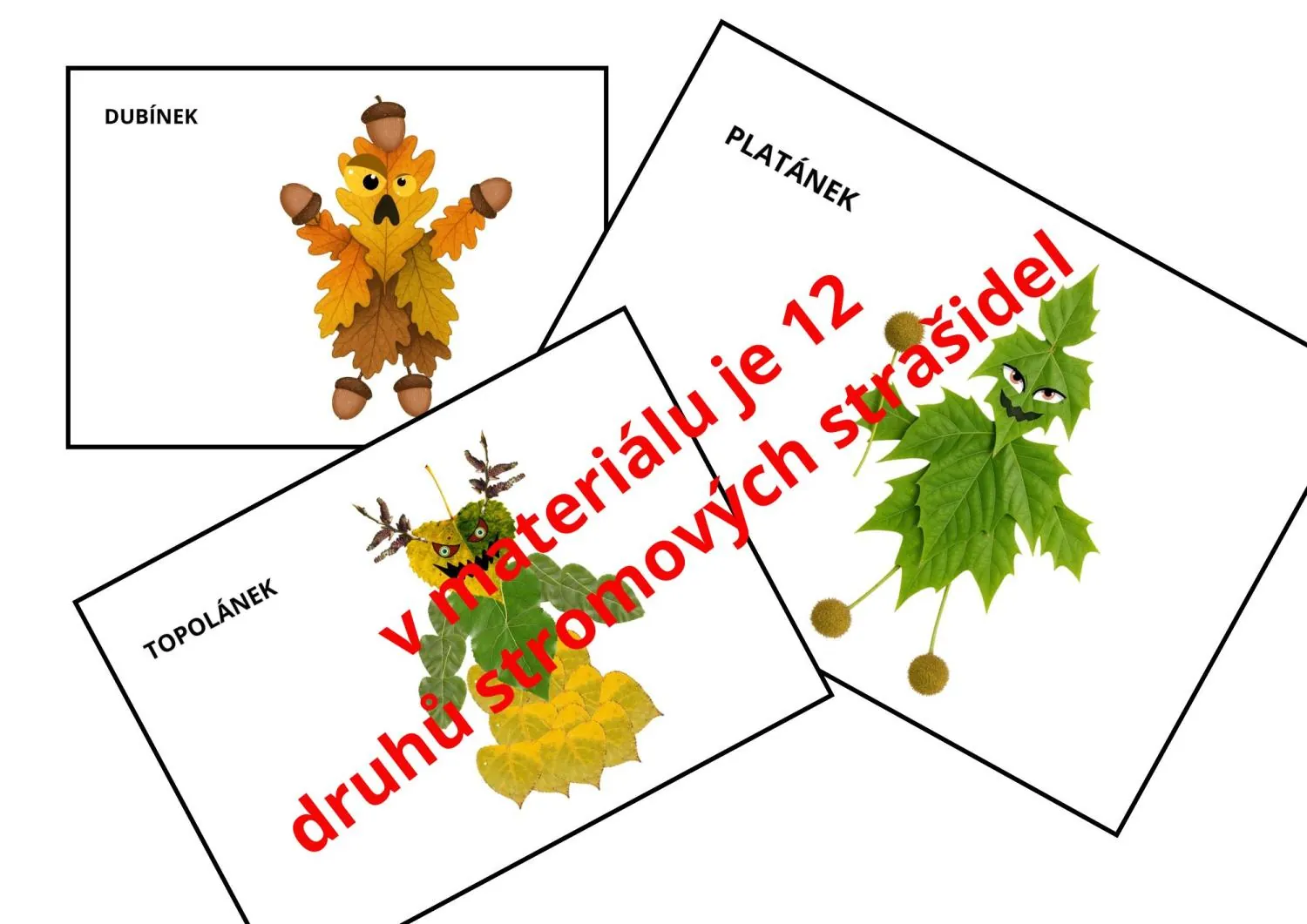 LISTNATÉ STROMY - STROMOVÁ STRAŠIDLA - POZNÁVAČKA + TVOŘENÍ – náhled 3