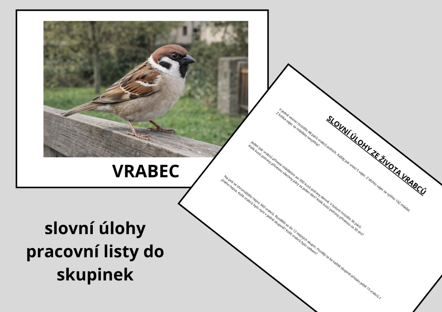 PTÁCI - RÝSOVÁNÍ - SLOVNÍ ÚLOHY - RÝSOVACÍ SADA č.8 – náhled 3