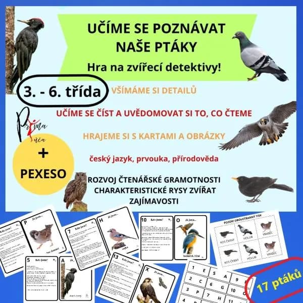 UČÍME SE POZNÁVAT NAŠE PTÁKY - aktivita mimo lavice - hra na zvířecí detektivy