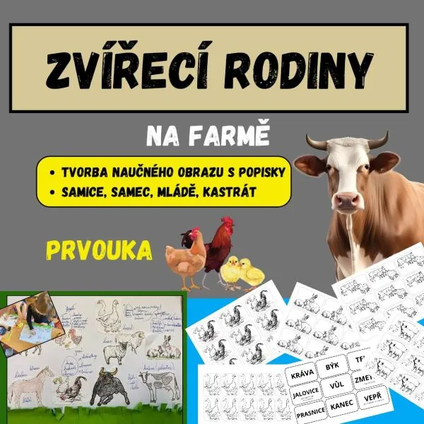 ZVÍŘECÍ RODINY - na farmě - VÝROBA OBRAZU S VÝUKOU – ukázka 1